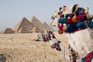 Egypt Story Tours-About Us