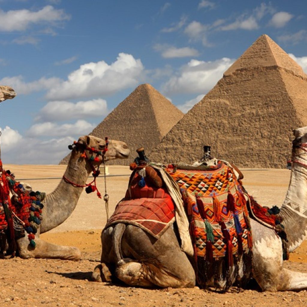 Cairo Day Tours
