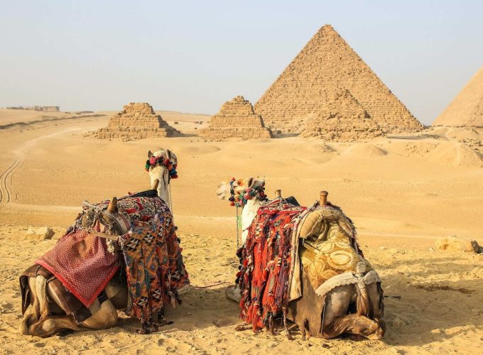 Camels overlooking the Giza Pyramids on a private 4 day Cairo and Luxor tour