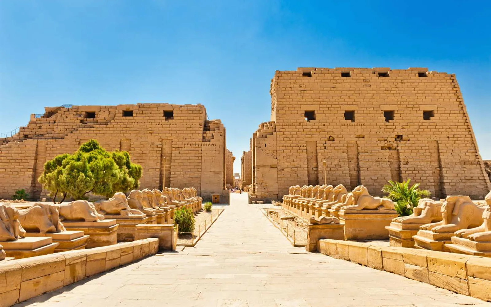 Karnak Temple during the Luxor stage of a private Egypt tour