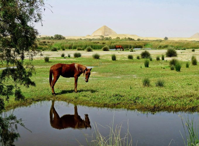 Explore Cairo Day Tours