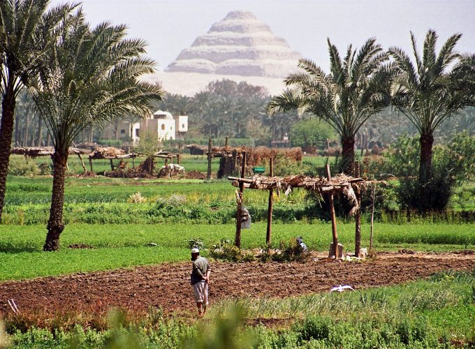 Private Saqqara Step Pyramid and Serapeum Tour from Cairo