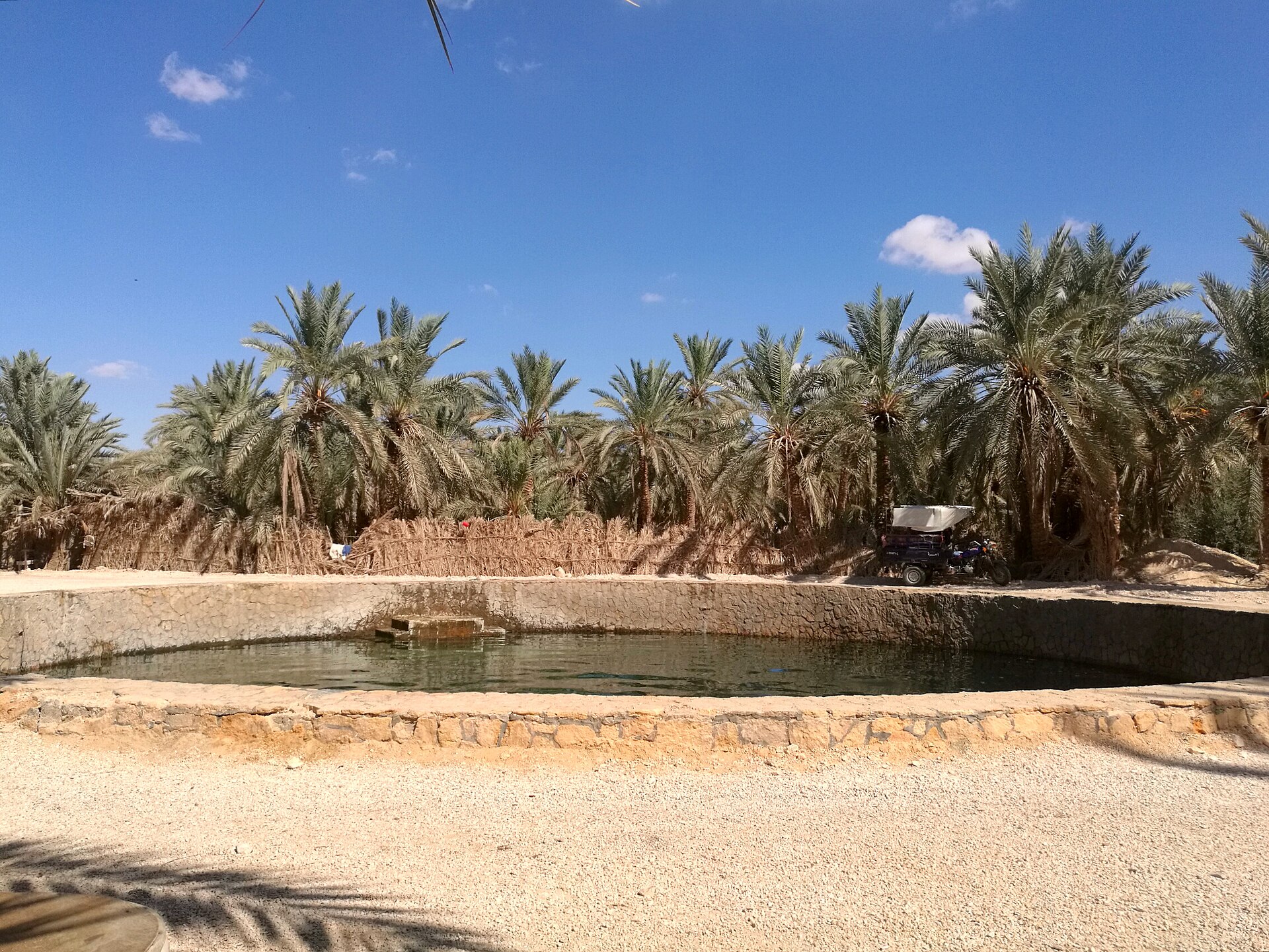Cleopatra's Spring in Siwa Oasis