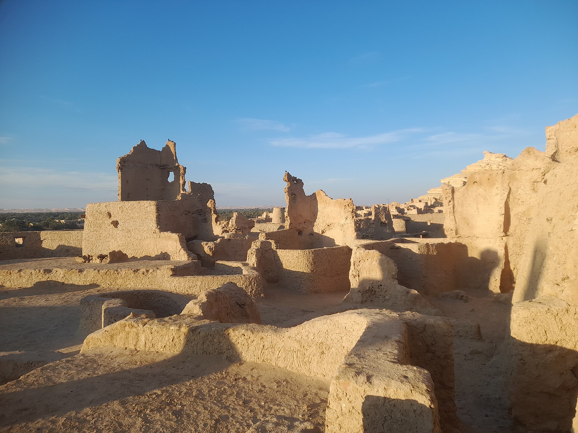 Shali Fortress in Siwa Oasis